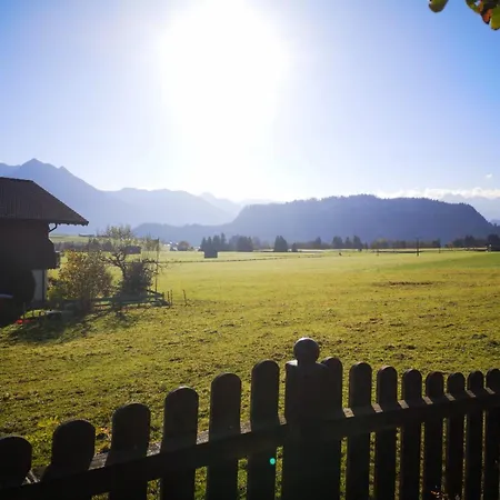 Alpengaudi In Sommerbergbahn Kostenlos * Bolsterlang